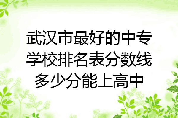 武汉市最好的中专学校排名表分数线多少分能上高中
