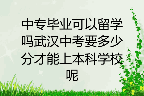 中专毕业可以留学吗武汉中考要多少分才能上本科学校呢