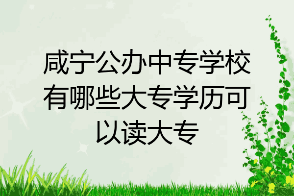 咸宁公办中专学校有哪些大专学历可以读大专
