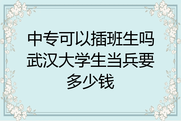 中专可以插班生吗武汉大学生当兵要多少钱