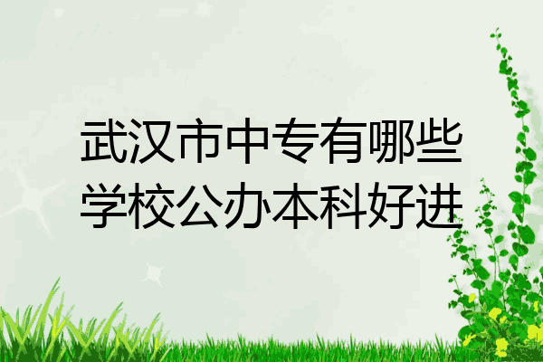 武汉市中专有哪些学校公办本科好进