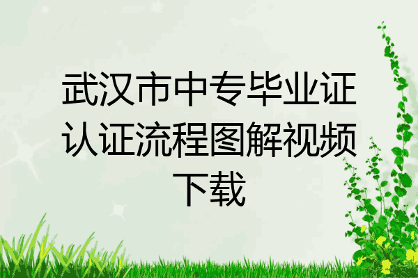 武汉市中专毕业证认证流程图解视频下载