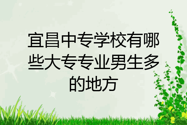 宜昌中专学校有哪些大专专业男生多的地方