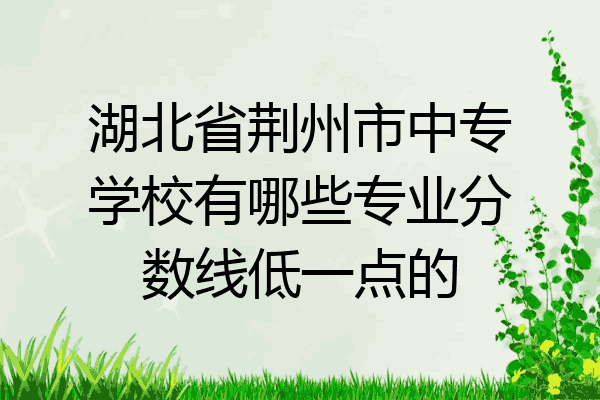 湖北省荆州市中专学校有哪些专业分数线低一点的