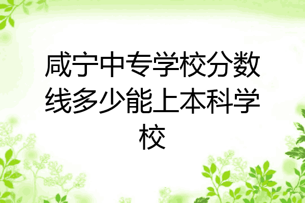 咸宁中专学校分数线多少能上本科学校