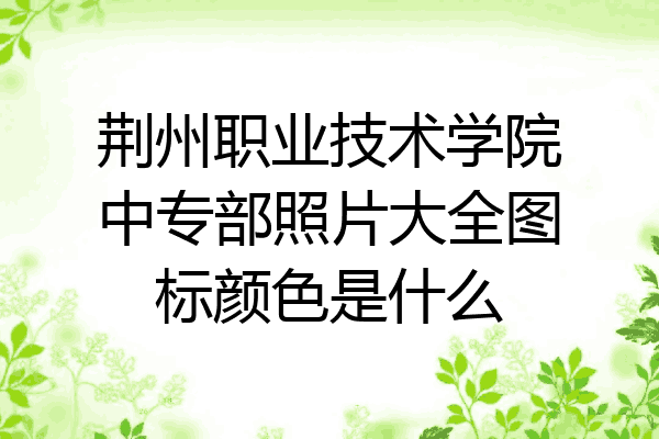 荆州职业技术学院中专部照片大全图标颜色是什么