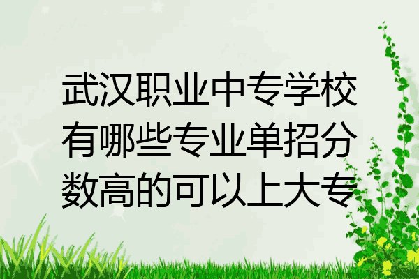 武汉职业中专学校有哪些专业单招分数高的可以上大专