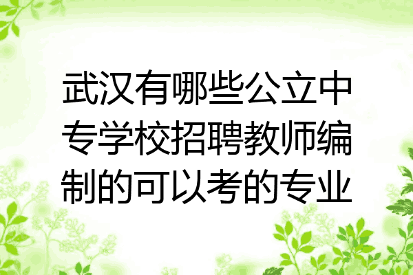 武汉有哪些公立中专学校招聘教师编制的可以考的专业