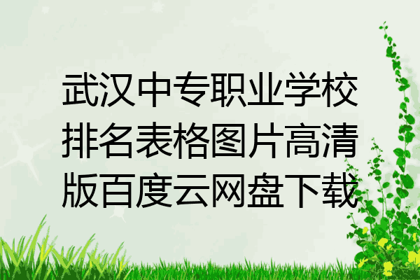 武汉中专职业学校排名表格图片高清版百度云网盘下载