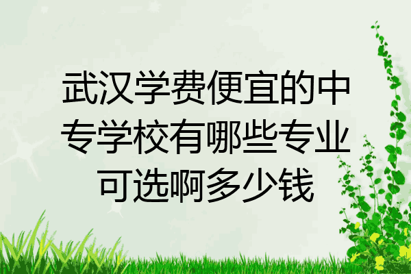 武汉学费便宜的中专学校有哪些专业可选啊多少钱