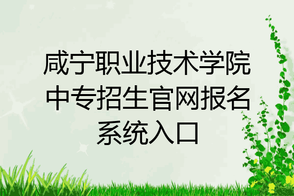 咸宁职业技术学院中专招生官网报名系统入口