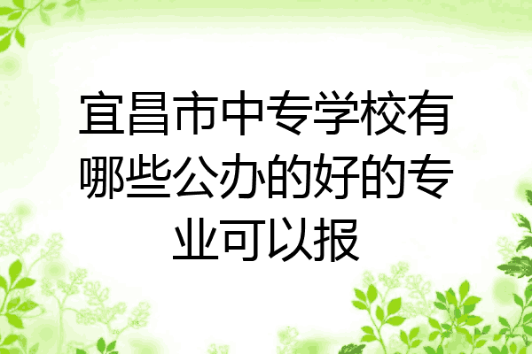 宜昌市中专学校有哪些公办的好的专业可以报
