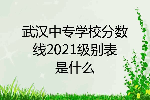 武汉中专学校分数线2021级别表是什么