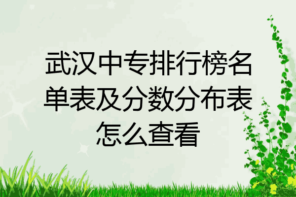 武汉中专排行榜名单表及分数分布表怎么查看