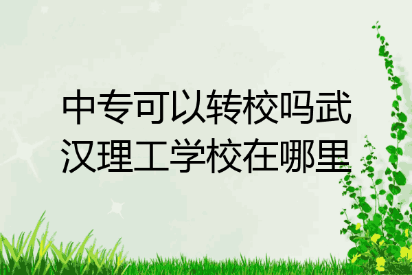 中专可以转校吗武汉理工学校在哪里
