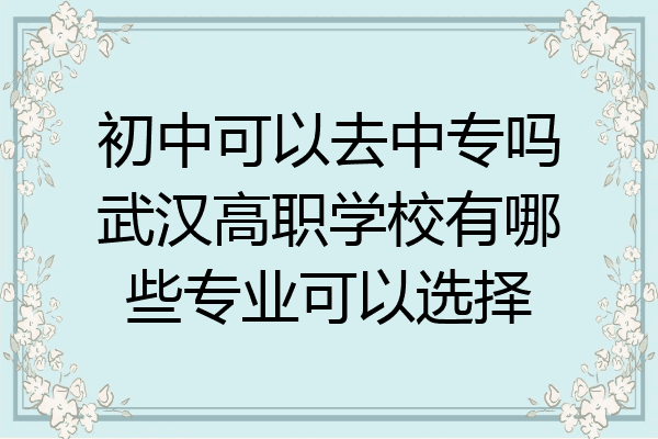 初中可以去中专吗武汉高职学校有哪些专业可以选择