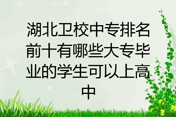 湖北卫校中专排名前十有哪些大专毕业的学生可以上高中