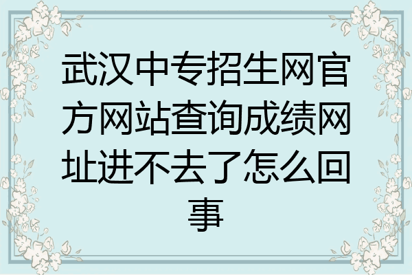 武汉中专招生网官方网站查询成绩网址进不去了怎么回事