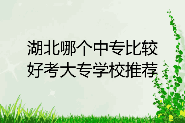 湖北哪个中专比较好考大专学校推荐