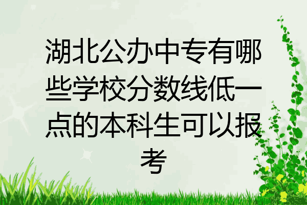 湖北公办中专有哪些学校分数线低一点的本科生可以报考