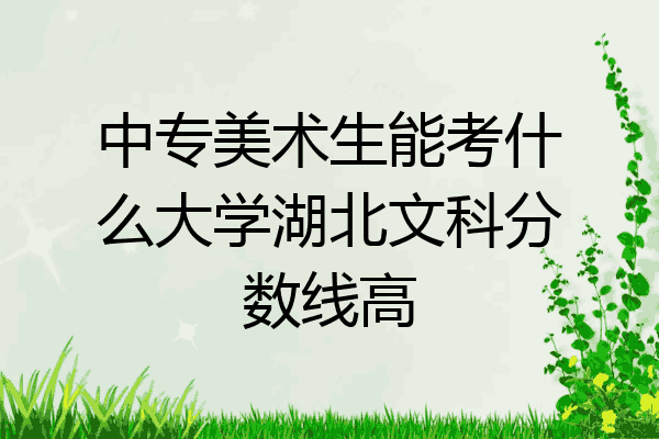 中专美术生能考什么大学湖北文科分数线高
