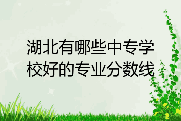 湖北有哪些中专学校好的专业分数线