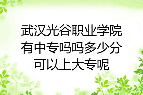 武汉光谷职业学院有中专吗吗多少分可以上大专呢