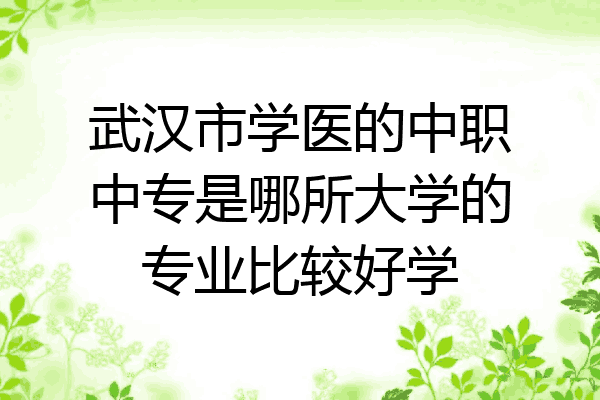 武汉市学医的中职中专是哪所大学的专业比较好学
