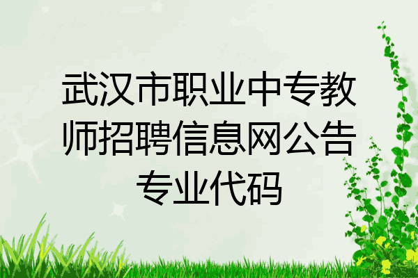 武汉市职业中专教师招聘信息网公告专业代码