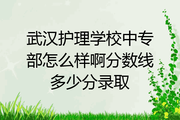 武汉护理学校中专部怎么样啊分数线多少分录取