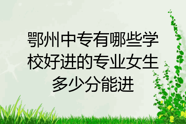 鄂州中专有哪些学校好进的专业女生多少分能进