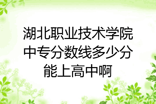 湖北职业技术学院中专分数线多少分能上高中啊