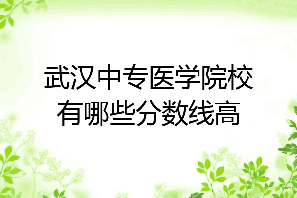 武汉中专医学院校有哪些分数线高