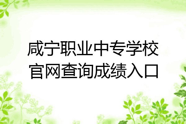 咸宁职业中专学校官网查询成绩入口