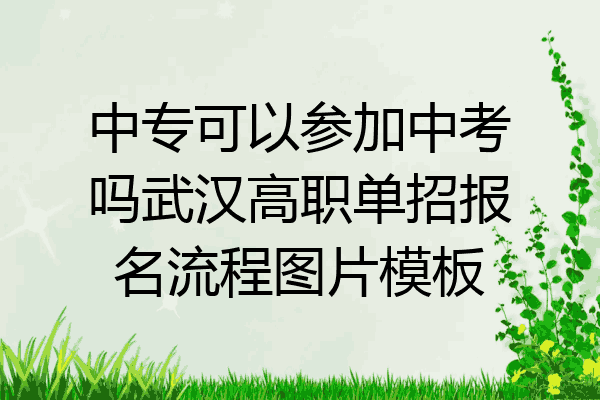中专可以参加中考吗武汉高职单招报名流程图片模板