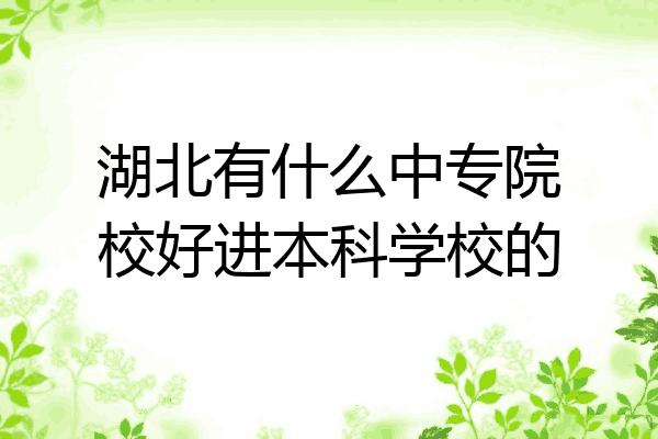 湖北有什么中专院校好进本科学校的
