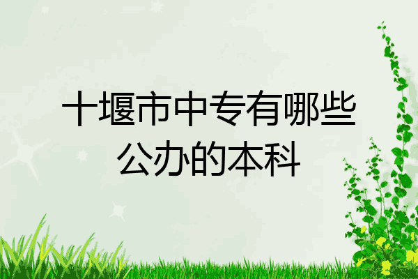 十堰市中专有哪些公办的本科