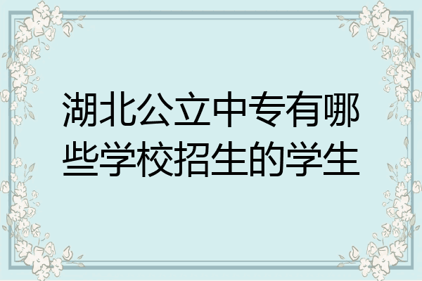 湖北公立中专有哪些学校招生的学生