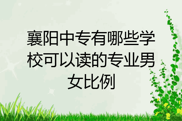 襄阳中专有哪些学校可以读的专业男女比例