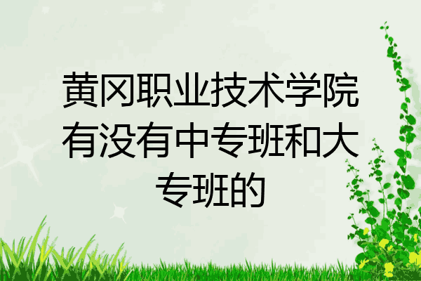 黄冈职业技术学院有没有中专班和大专班的