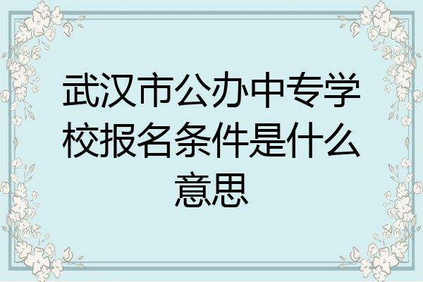 武汉市公办中专学校报名条件是什么意思