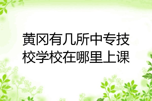 黄冈有几所中专技校学校在哪里上课