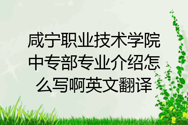 咸宁职业技术学院中专部专业介绍怎么写啊英文翻译
