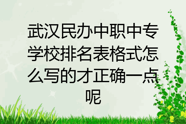 武汉民办中职中专学校排名表格式怎么写的才正确一点呢