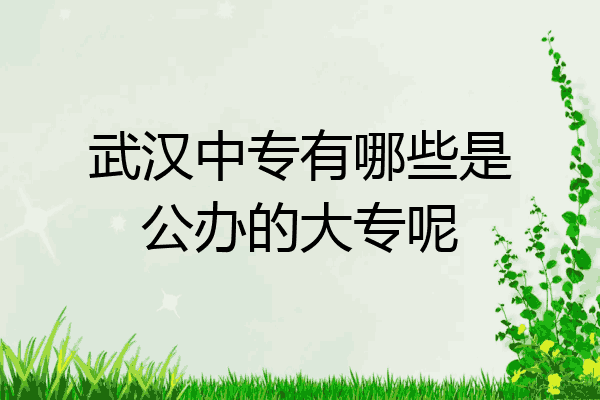 武汉中专有哪些是公办的大专呢