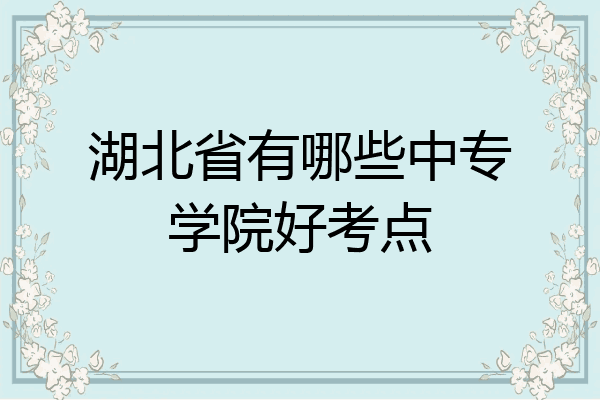 湖北省有哪些中专学院好考点