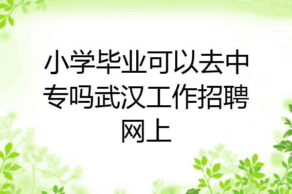 小学毕业可以去中专吗武汉工作招聘网上