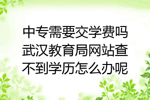中专需要交学费吗武汉教育局网站查不到学历怎么办呢