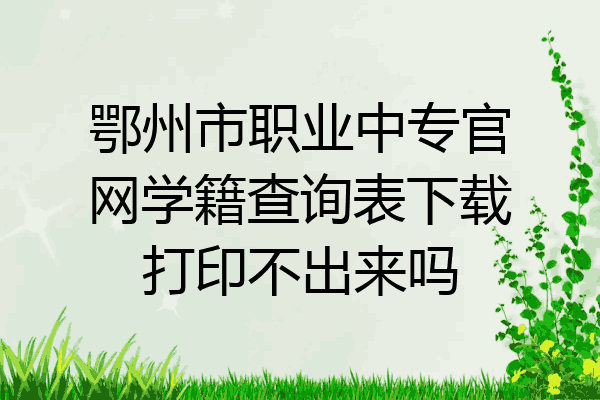 鄂州市职业中专官网学籍查询表下载打印不出来吗