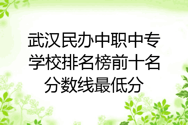 武汉民办中职中专学校排名榜前十名分数线最低分
